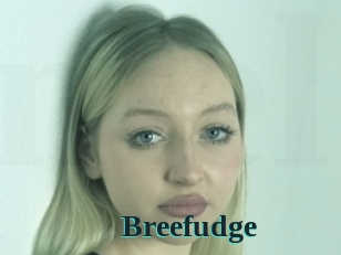 Breefudge