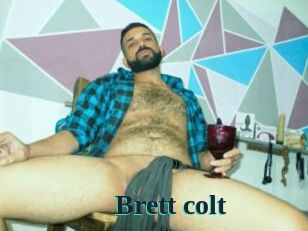 Brett_colt