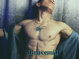 Brucemill