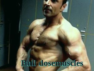 Bull_dosemuscles