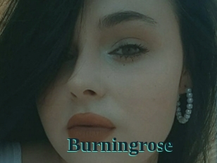 Burningrose