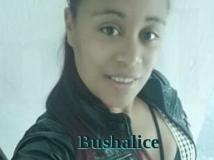 Bushalice