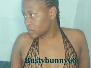 Bustybunny66