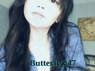 Butterfly347