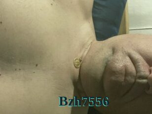 Bzh7556