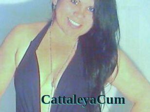 CattaleyaCum