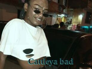 Cattleya_bad