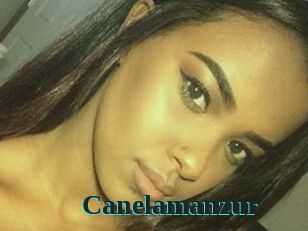 Canelamanzur