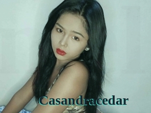 Casandracedar