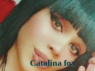 Catalina_fox