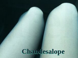 Chaudesalope