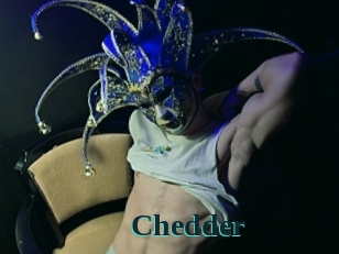 Chedder