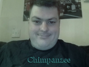 Chimpanzee