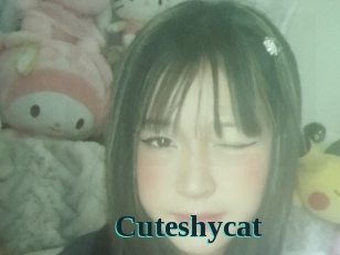 Cuteshycat