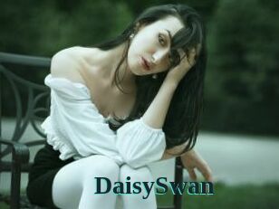 DaisySwan