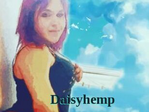 Daisy_hemp