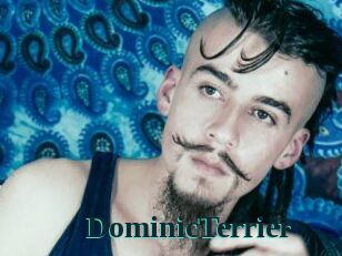 DominicTerrier