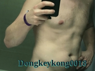 Dongkeykong0018