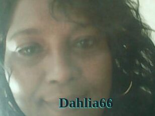 Dahlia66