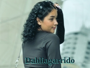 Dahliagarrido