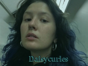 Daisycurles