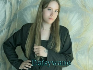 Daisywane