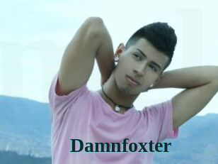 Damnfoxter