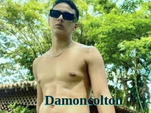 Damoncolton