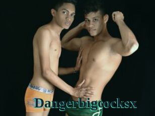 Dangerbigcocksx