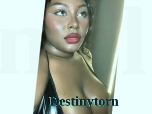 Destinytorn