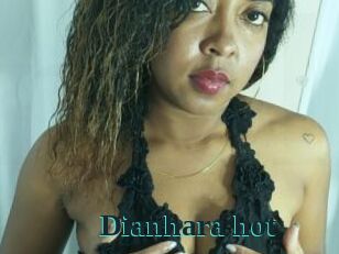 Dianhara_hot