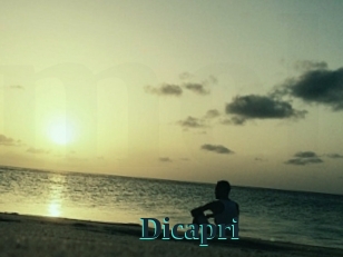 Dicapri