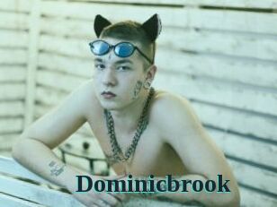 Dominicbrook