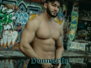 Donmerlin