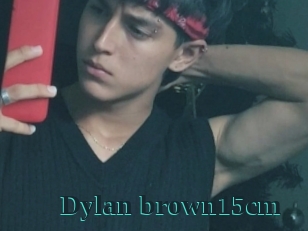 Dylan_brown15cm