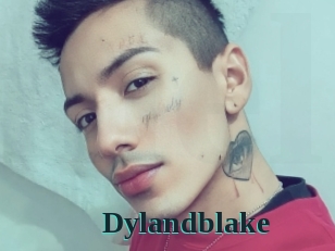 Dylandblake