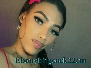 Ebonybiigcock22cm