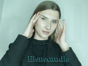 Elenecaudle