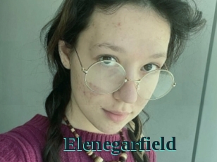 Elenegarfield