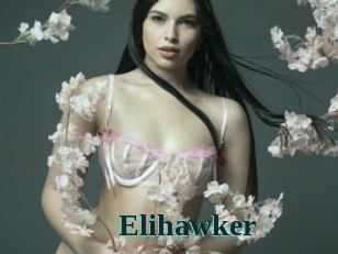 Elihawker