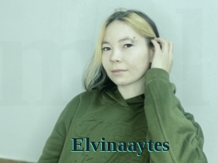 Elvinaaytes