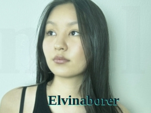 Elvinaborer