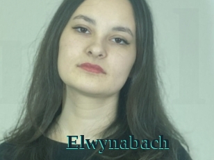 Elwynabach