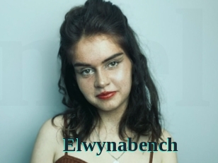 Elwynabench