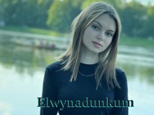 Elwynadunkum