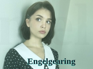 Engelgearing