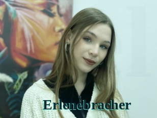 Erlenebracher