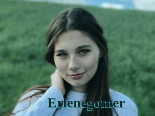 Erlenegomer