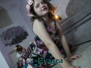 Evasea