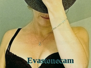 Evastonecam